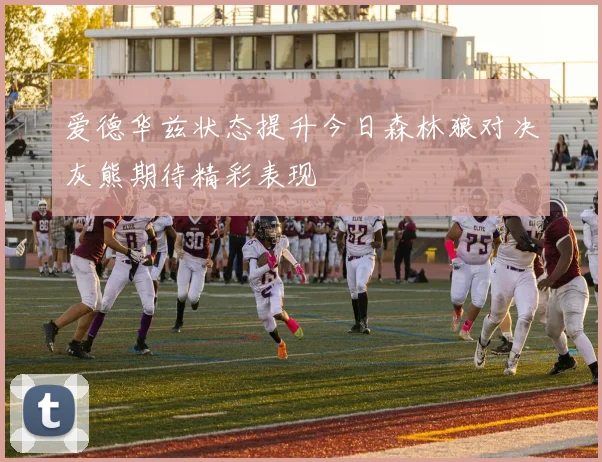爱德华兹状态提升今日森林狼对决灰熊期待精彩表现